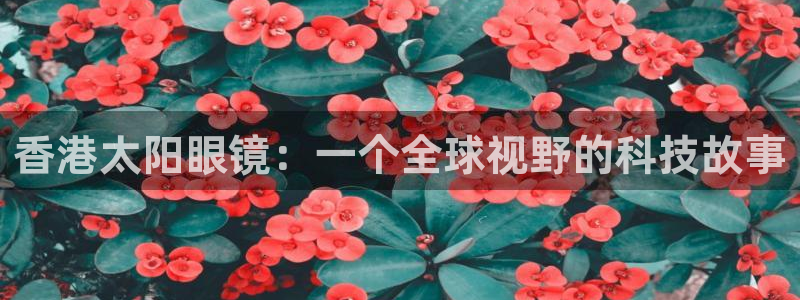 新宝j2O5O5O