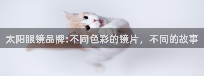 新宝5招商