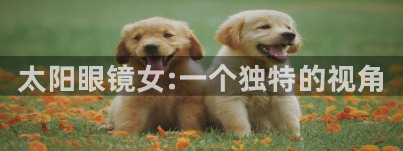新宝5登录不了