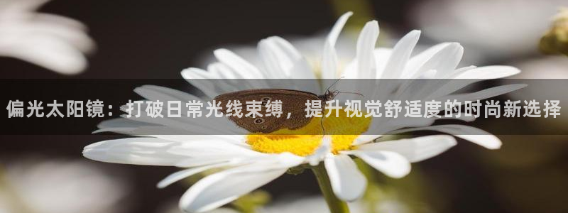 新宝5 代理