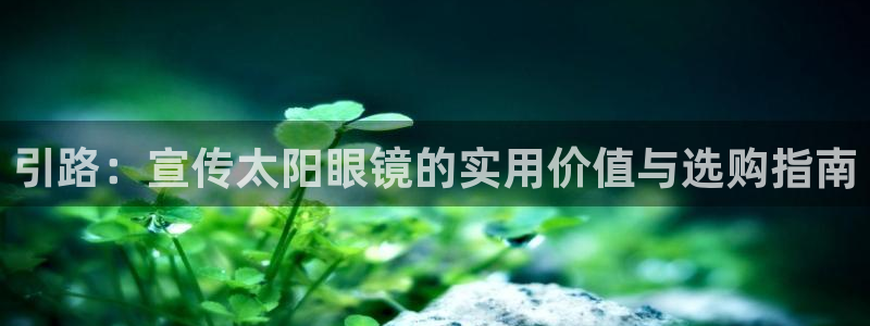 新宝5官方下载地址