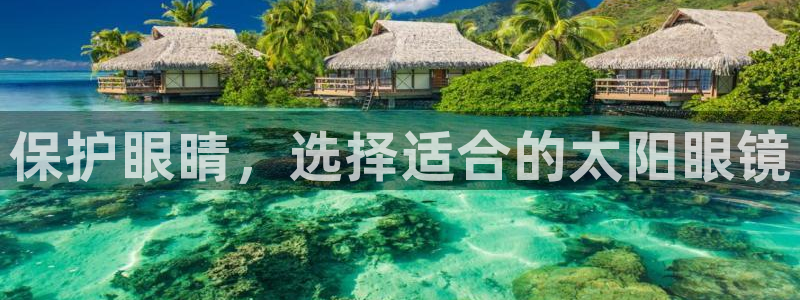 新宝5手机测速