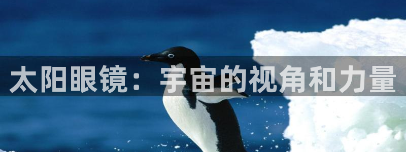 新宝5直属