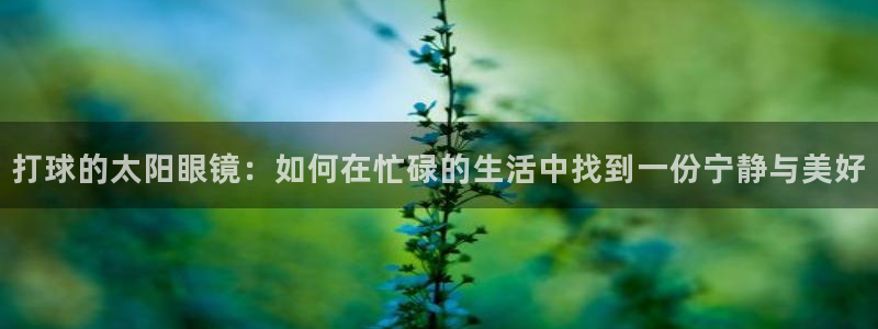 新宝5下载到桌面