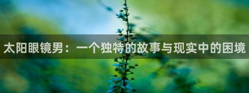 新宝5玩法