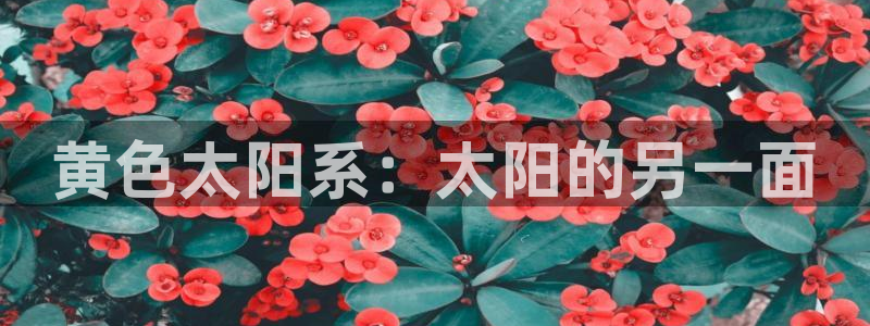 新宝5开户