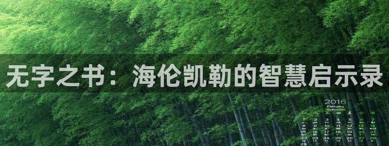 新宝5软件下载
