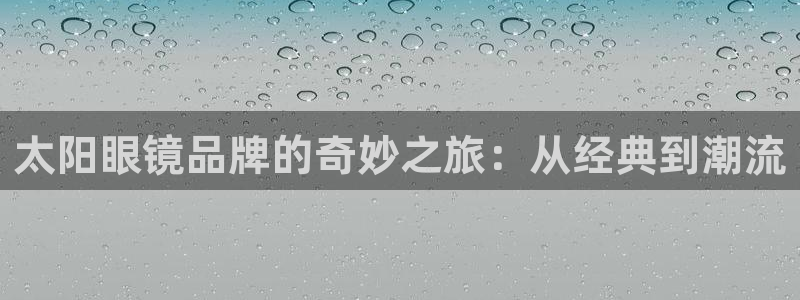 新宝股东王听2 5 5