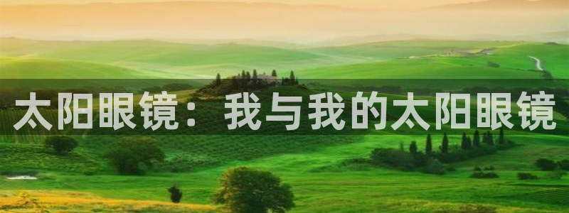 新宝5网站