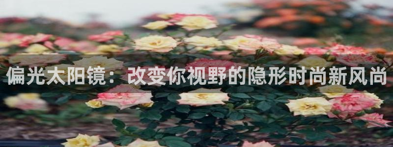 新宝5怎么代理