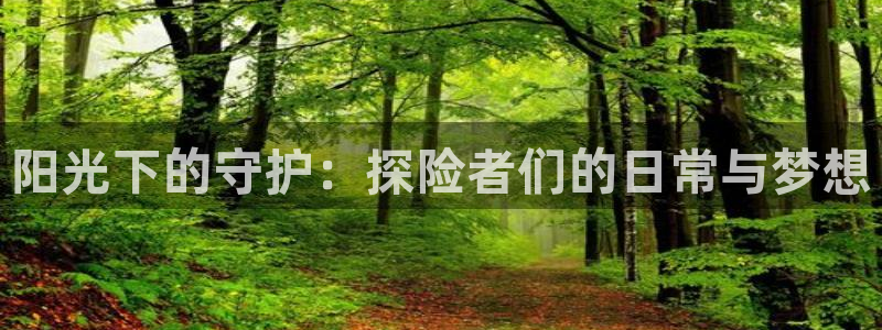 新宝5官网平台