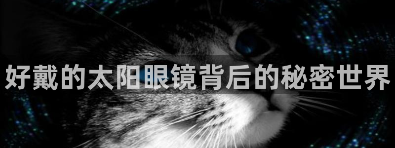 新宝b2O5O5O