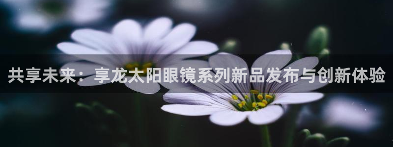 新宝5是什么