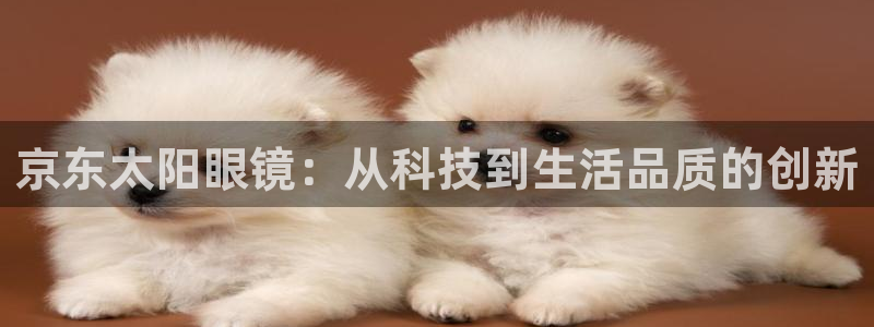 新宝5官方下载地址