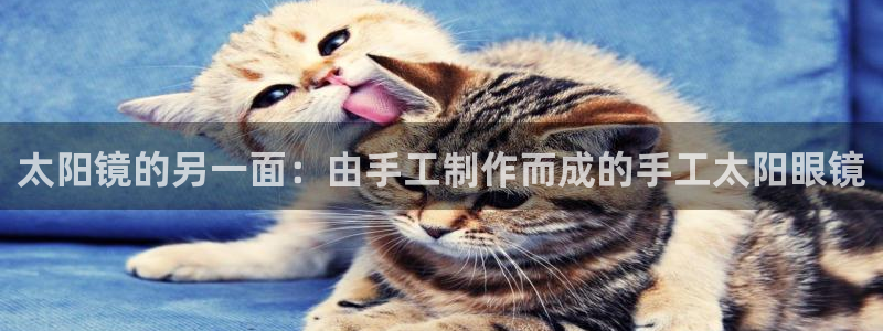 新宝5寻33 300球