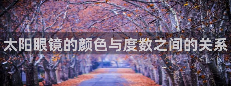 新宝5策略