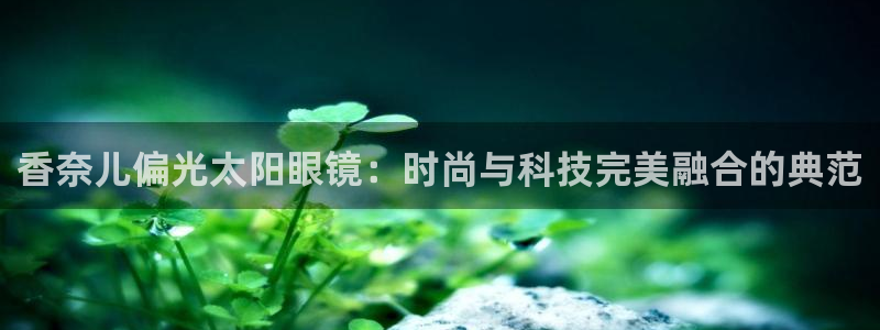 新宝5娱乐学