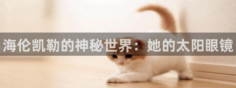 新宝娱乐5
