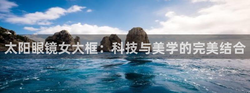 新宝5 代理