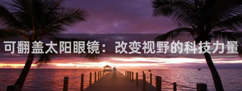新宝5网