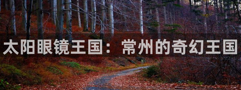 新宝5测速在线