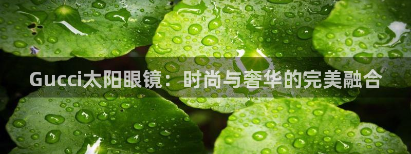 新宝5娱乐方
