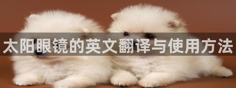 新宝5娱乐如